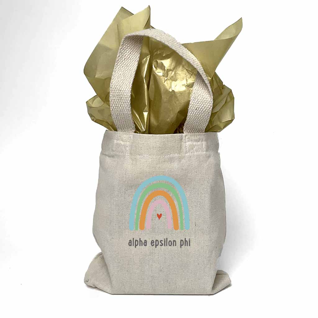 Alpha Epsilon Phi Sorority Rainbow Mini Tote Gift Bag