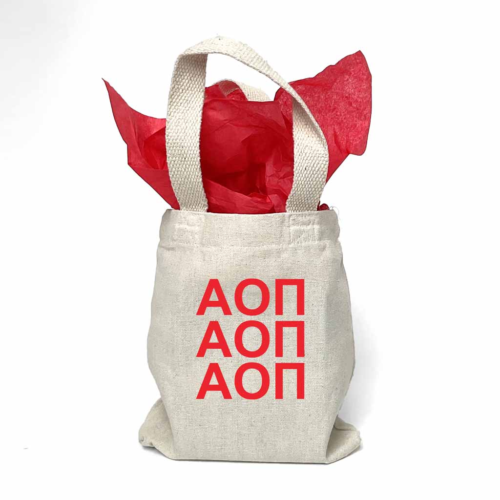 Alpha Omicron Pi Sorority Greek Letters Mini Tote Gift Bag