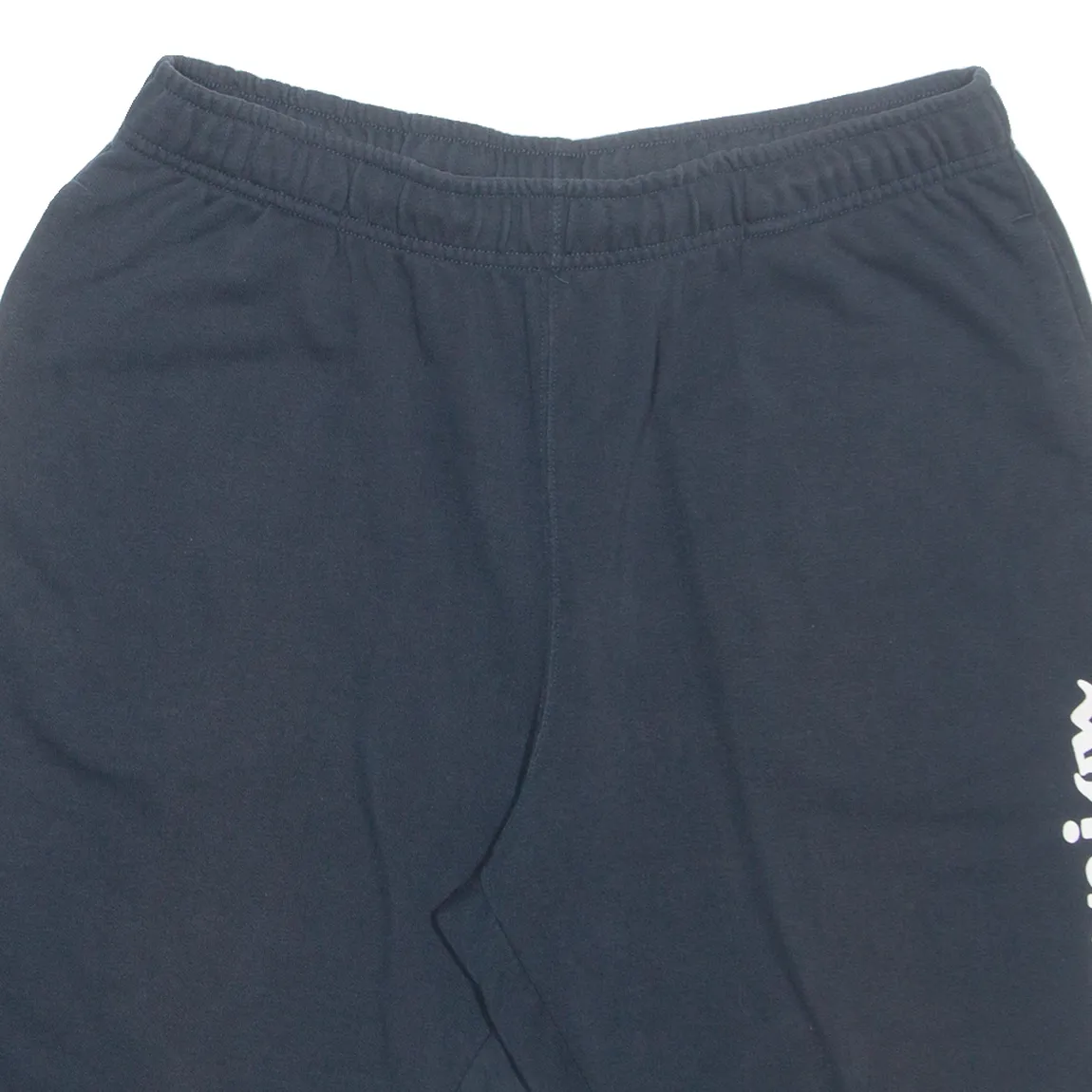 CHAMPION Mens Casual Shorts Blue XL W32