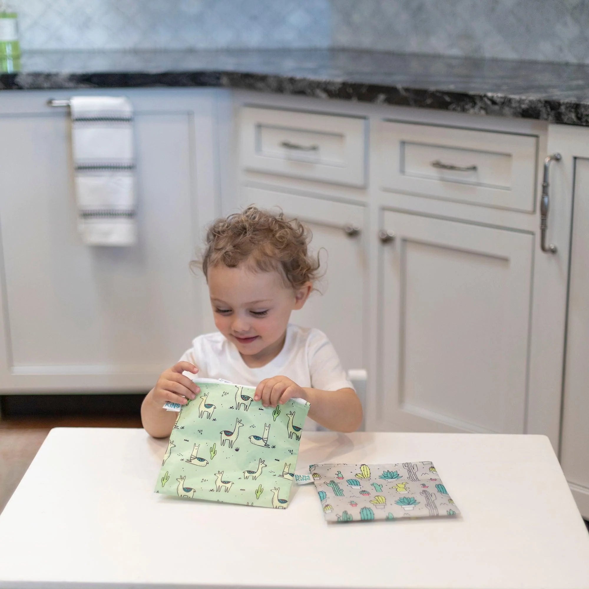 Reusable Snack Bag, Large 2-Pack: Cacti & Llama