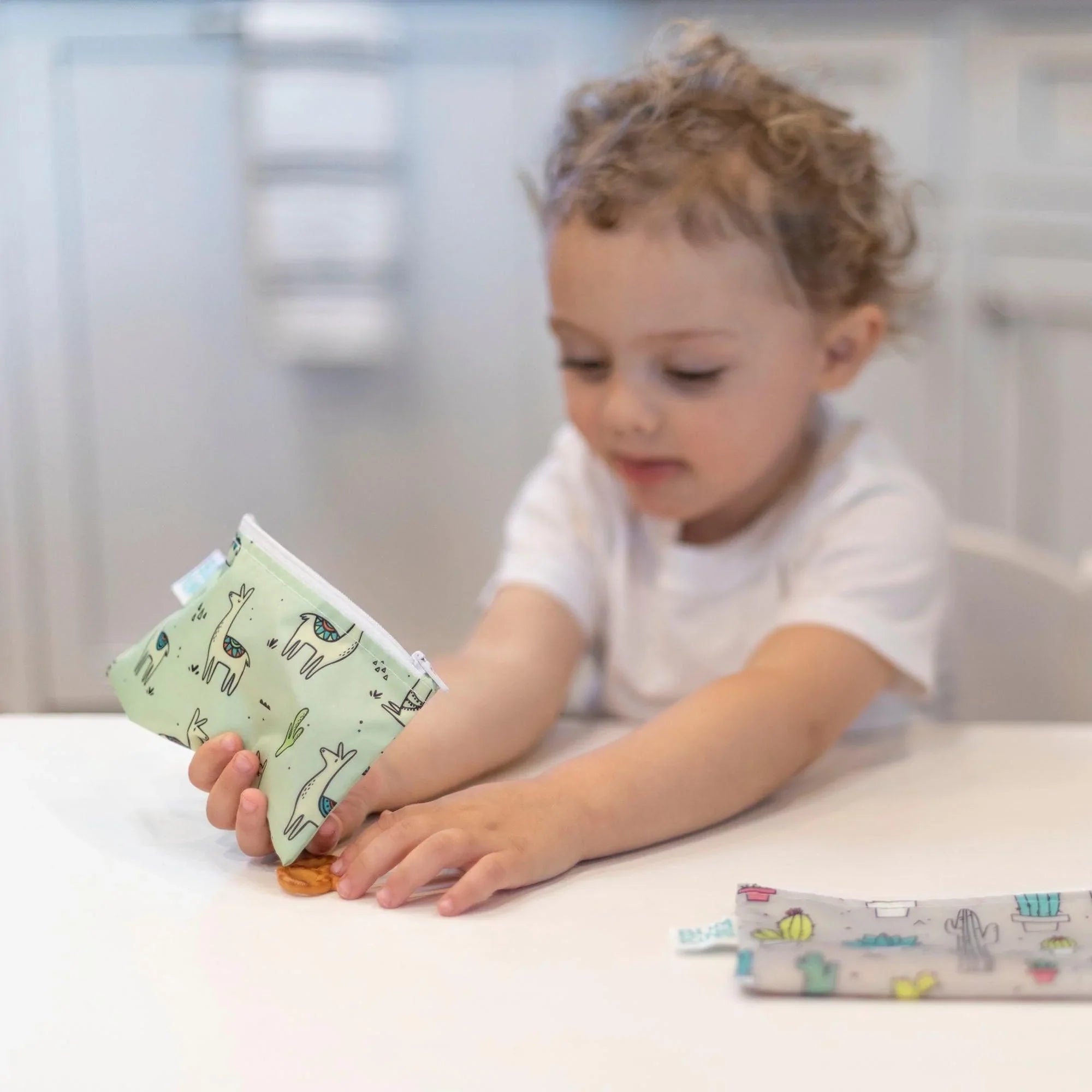 Reusable Snack Bag, Small 2-Pack: Cacti & Llamas