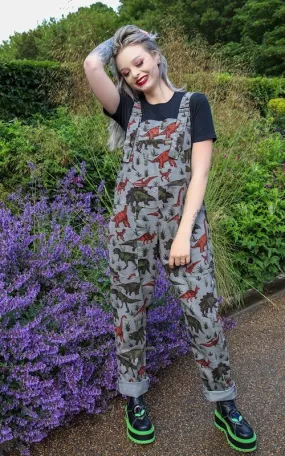 Unisex Dinosaur dungarees