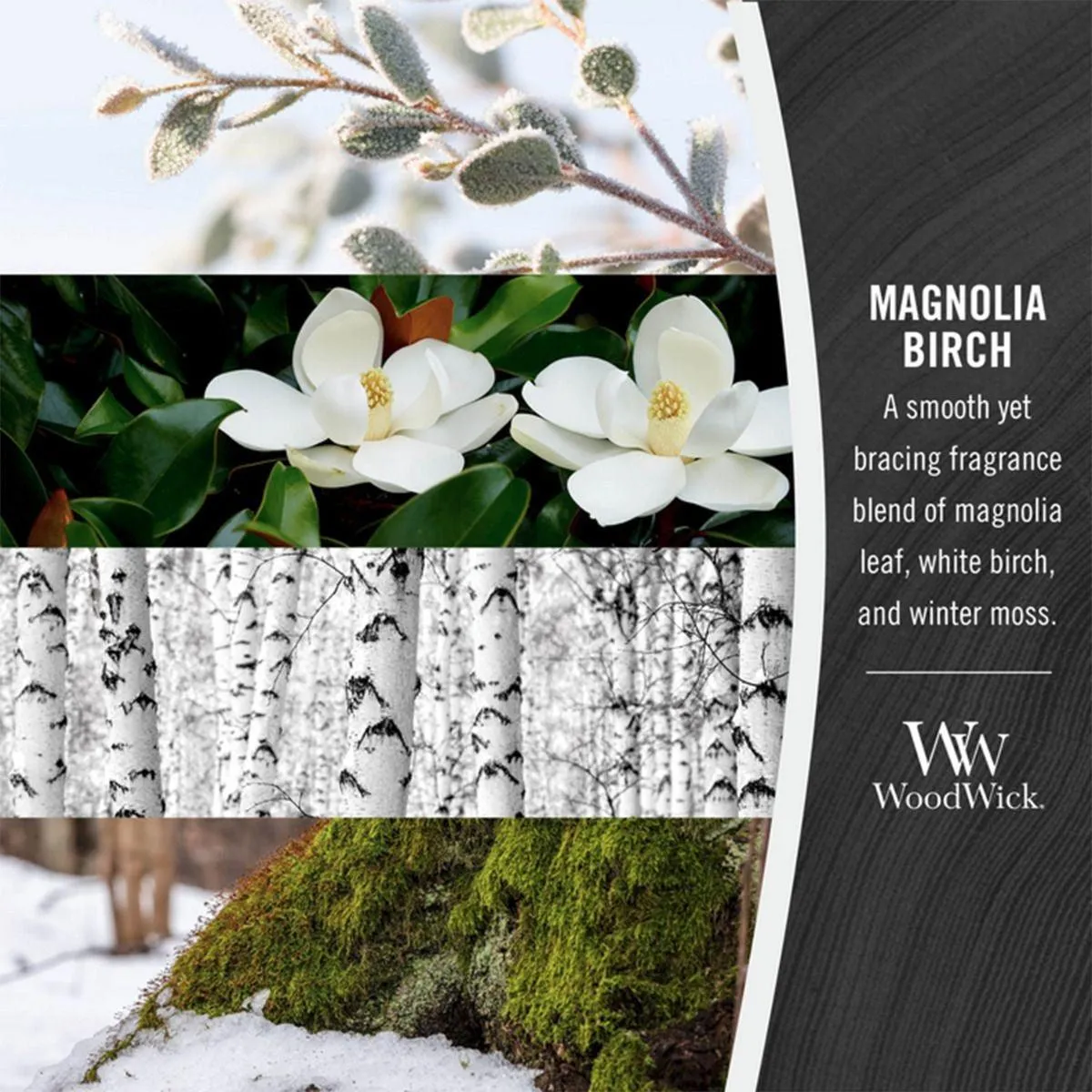 WoodWick Magnolia Birch Candle Crackles As It Burns Ellipse Hearthwick